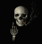 1118748144142015.gif